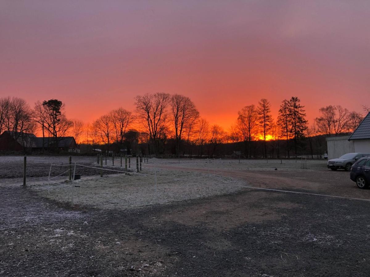 Apartmán Laegenhet Pa Haestgard Ljungbyhed Exteriér fotografie