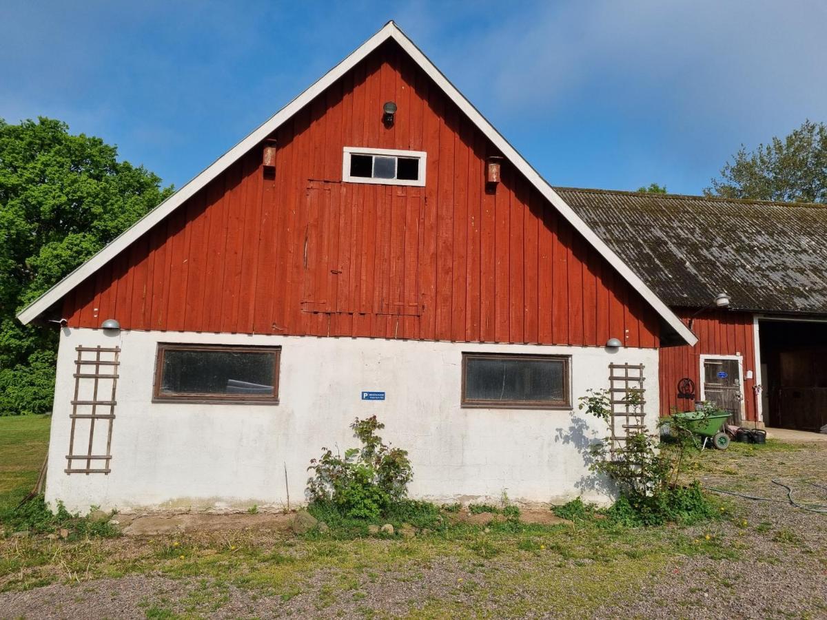 Apartmán Laegenhet Pa Haestgard Ljungbyhed Exteriér fotografie